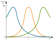 graph of enzyme activity in against pH. green- high pH enzyme; blue- low pH enzyme; orange- neutral pH enzyme.