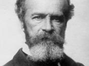 William James was the first psychologist to describe the tip of the tongue phenomenon, although he did not label it as such