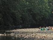 Yancey County students on the banks of the South Toe River