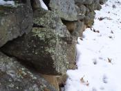 This is the stone wall at Frost's farm in Derry, New Hampshire, which he described in 