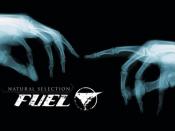 Natural Selection (Fuel album)