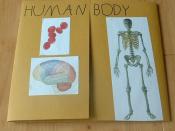 Human Body lapbook cover