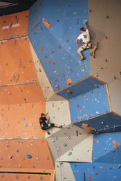 Rock climbing on the wall of Voiron, Auvergne Rhône-Alpes championship (Isère, France).