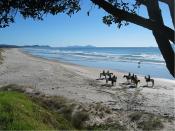 English: Horse riders and surfers on Te Arai Beach, Auckland, New Zealand.