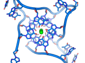 Crystal structure of parallel quadruplexes from human telomeric DNA. The DNA strand (blue) circles the bases that stack together in the center around three co-ordinated metal ions (green). Produced from NDB ID: UD0017