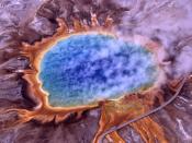 Thermophiles produce some of the bright colors of Grand Prismatic Spring, Yellowstone National Park