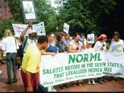 English: NORML members protest in Lafayette Park during the annual July 4th 