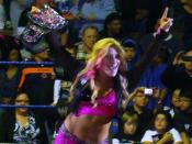 Natalya as the WWE Divas Champion on January 23, 2011, at the Hammond Civic Center in Hammond, Indiana.
