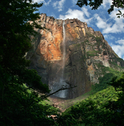 View of the Salto Angel (Angel Falls, named after Jimmie Angel) from the path overlooking the right bank of the creek created by the falls. Picture taken during dry season, when the falls have a small discharge. Angel Falls are the highest falls on earth.