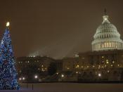Christmas tree of the United States Capitol shortly after lighting ceremony.