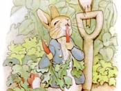 Illustration of Peter Rabbit eating radishes, from The Tale of Peter Rabbit