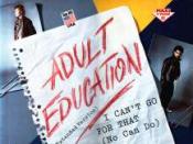 Adult Education (song)