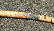 The didgeridoo, an instrument of the Indigenous Australians