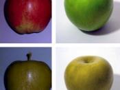 Side-by-side comparison of two images of apples as seen by a trichromatic observer and the same apples as seen by a deuteranope (color blind individual). Simulation performed using the vischeck website (www.vischeck.com) with an algorithm originally devel