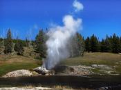 Riverside geyser in Yellowstone NP