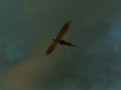 Fawkes flies in Harry Potter and the Half-Blood Prince.
