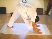 Yoga postures Parshvottanasana