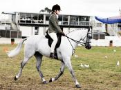 A young rider at a horse show in Australia