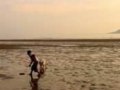 English: Caswell Beach: A boy and his dog A wonderful playground for children and their best friends.