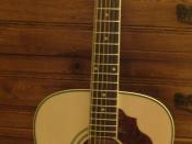 English: A photo of an Ibanez SGT 122 12 string acoustic guitar