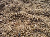 The coarse, pebble-like sand on some parts of Repulse Bay Beach.
