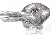 The duck-rabbit, made famous by Wittgenstein