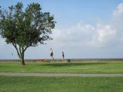 Mandeville Lakefront joggers