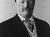 President of the United States Theodore Roosevelt, head-and-shoulders portrait, facing front. Deutsch: Theodore Roosevelt (1858–1919), Präsident der Vereinigten Staaten von 1901 bis 1909, Friedensnobelpreisträger des Jahres 1906.