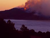 English: wildfire on Angel Island