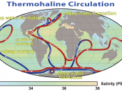 This map shows the pattern of thermohaline circulation also known as 