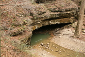 River Styx, a partly subterranean waterway, emerges onto the surface in Mammoth Cave National Park.