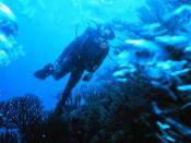 Scuba diver. Found at Plongée sous-marine & obt'd Image:Plongeur bouteilles.jpg id'd there as