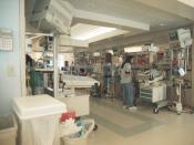 English: The Neonatal Intensive Care Unit (NICU) at Kapiolani Medical Center in Honolulu, Hawaii