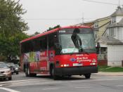 English: Coach USA Gray Line #17036 operates in shuttle service for St. John's University (New York).