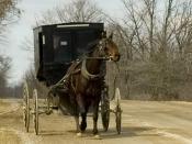 Photograph of an old order Mennonite, horse and carriage in Oxford County, Ontario Canada at Pignam and Ebenezer Road.