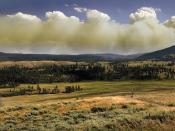 English: Wildfire in Yellowstone National Park produces Pyrocumulus cloud Suomi: Metsäpalo Yellowstonen kansallispuistossa synnyttää pyrocumuluspilviä. Français : Pyrocumulus provoqué par un Feu de forêt dans le Parc national de Yellowstone.
