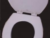 English: Large image of toilet seat