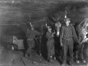 Child coal miners - drivers and mules, Gary, W. Va., mine.