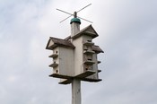A bird house, taken at the Peabody Mansion Estate in Oak Brook, Illinois
