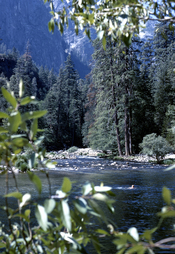 English: Taken in Yosemite National Park. That's my college roommate wading in the river.