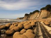 English: Bowling Balls Beach in Mendocino county, California, USA. Concretions on Bowling Balls Beach (Mendocino County, California) were weathered out of steeply-tilted Cenozoic mudstone Français : Galets de la Bowling balls Beach (Litt. « Plage des Boul