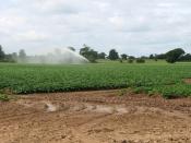 English: Crop irrigation The past few weeks have been unusually dry and in order for this year's crops to properly develop farmers are irrigating their fields.