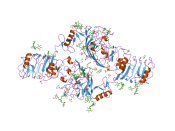 English: Cartoon representation of the molecular structure of protein registered with 2hr7 code. Deutsch: Grafik des Molekularstruktur von jenem Protein, das mit 2hr7 code registriert ist. Plattdüütsch: Grafik, de de Molekularstruktur von dat Protein wies