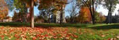 English: The Quad of Bowdoin College in the Fall