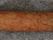 A Cinnamon Stick