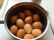A dozen boiled eggs with lion marks visible in a saucepan.