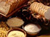 grain products: bread, rice, cornmeal, and pasta
