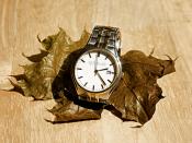 Slow Time in Wrist Watch on Dry Leaf