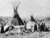 Typical dwellings of the Shoshone Indians during the late 19th century.