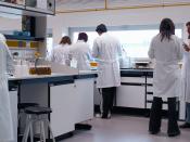 Scientists in a laboratory of the University of La Rioja.